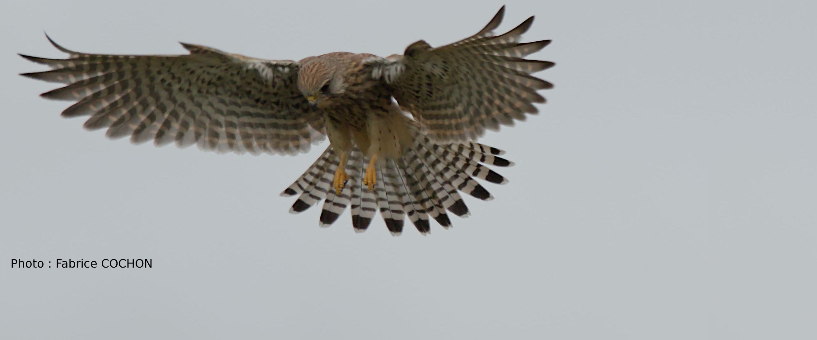 program image (fixme context)